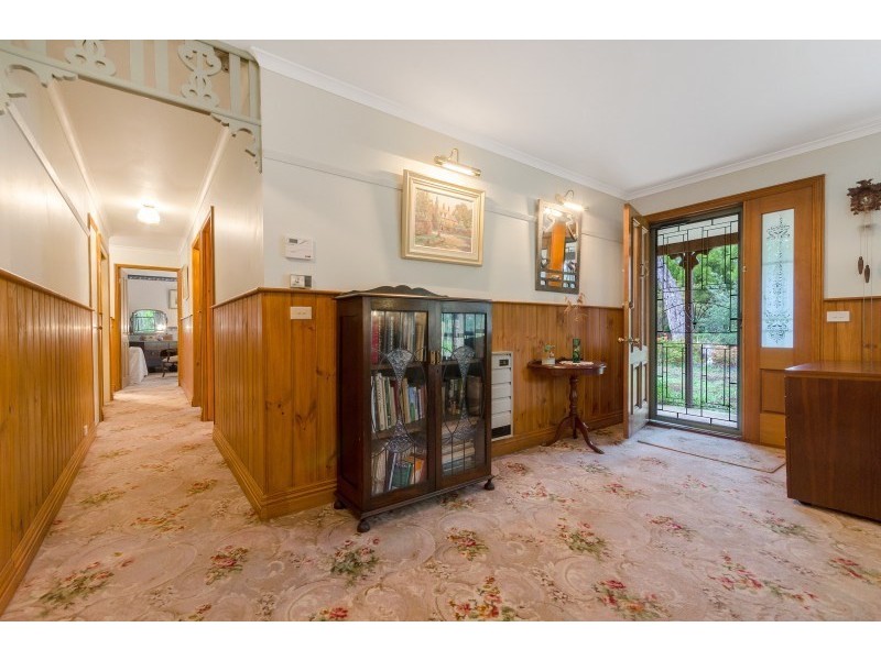 3 Wilkins Street, Anglesea VIC 3230