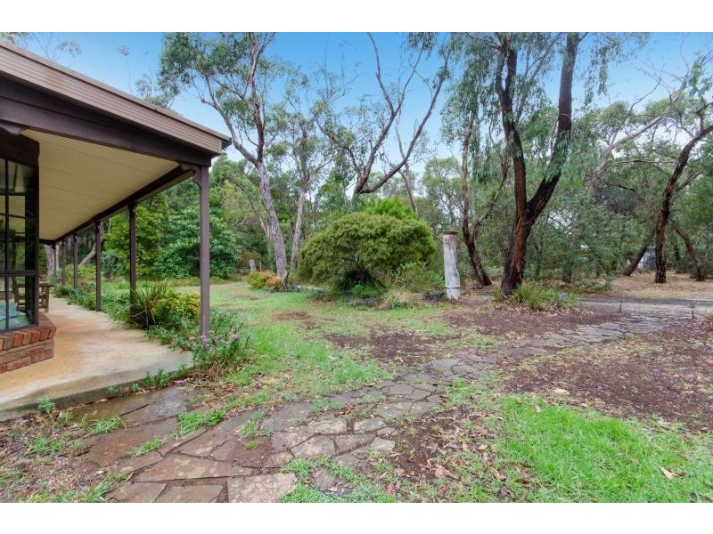 3 Wilkins Street, Anglesea VIC 3230