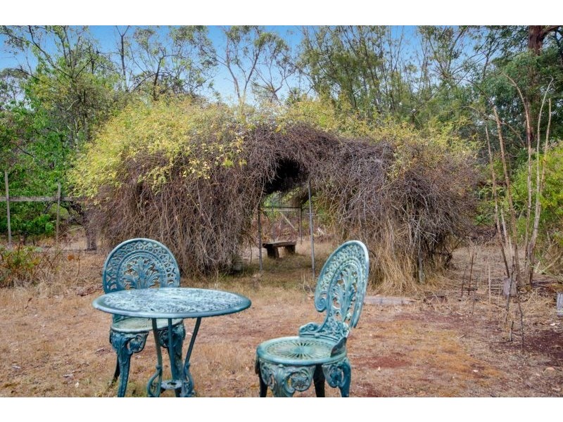 3 Wilkins Street, Anglesea VIC 3230