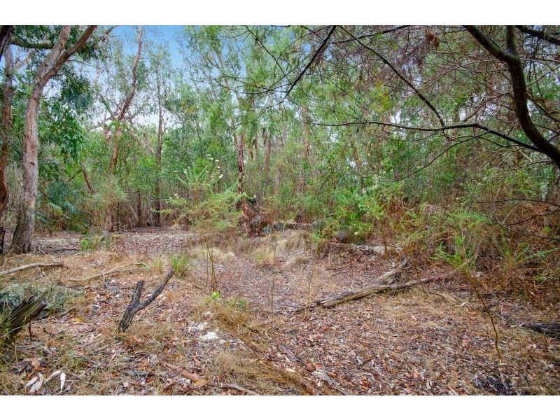 3 Wilkins Street, Anglesea VIC 3230