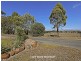60 Fuller Road, Inverleigh VIC 3321