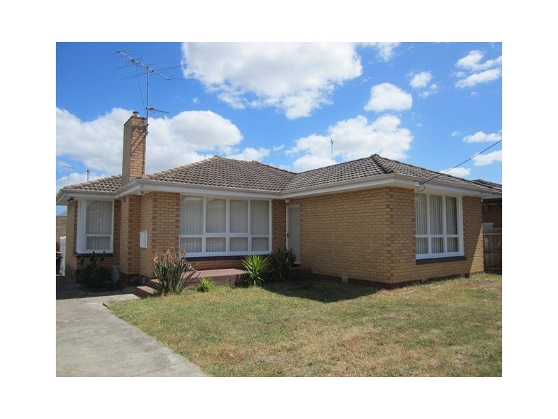 53 Buckingham Road, Newtown VIC 3220