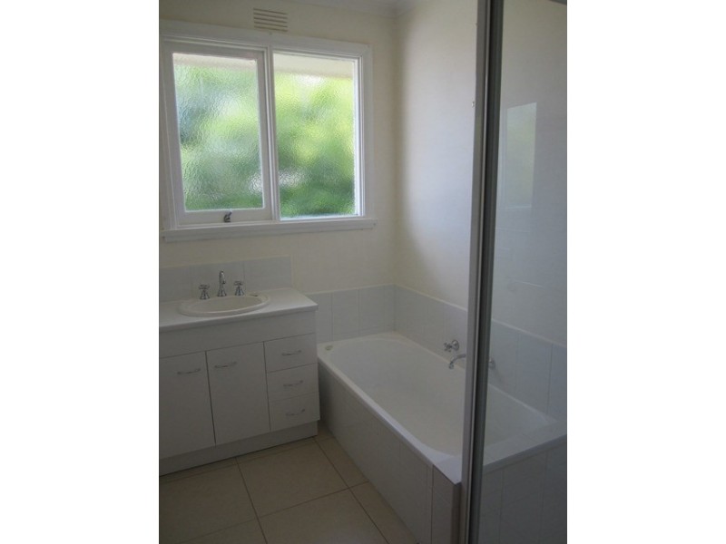 53 Buckingham Road, Newtown VIC 3220