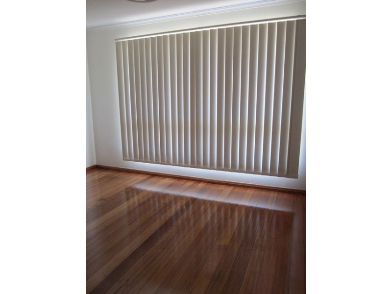 53 Buckingham Road, Newtown VIC 3220