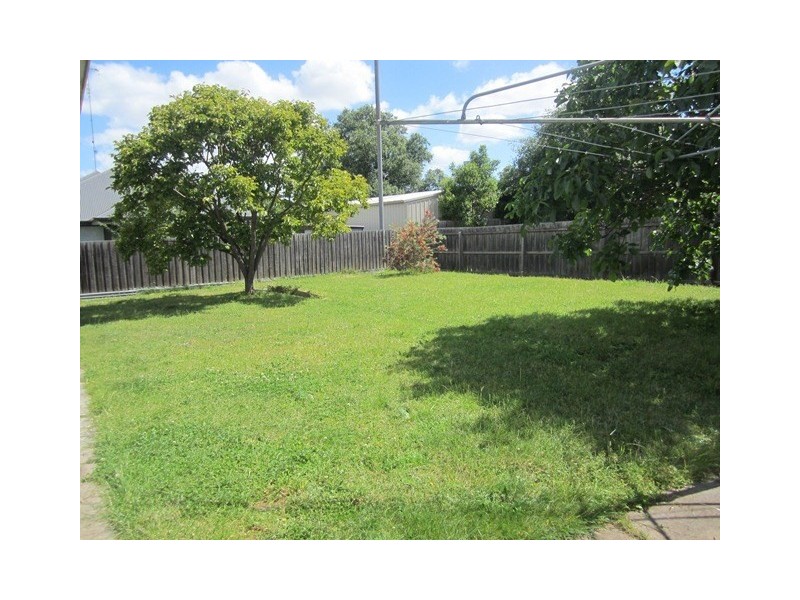 53 Buckingham Road, Newtown VIC 3220