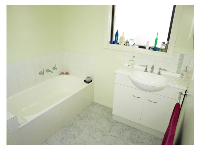 1/50 Maurice Street, Herne Hill VIC 3218