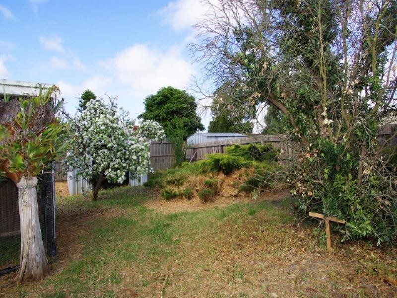 7 Lloyd Street, Belmont VIC 3216