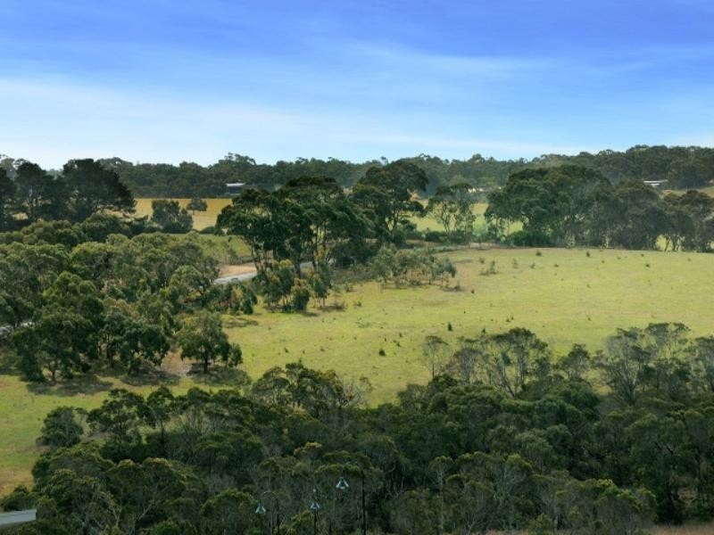 55 Ocean View Crescent, Torquay VIC 3228