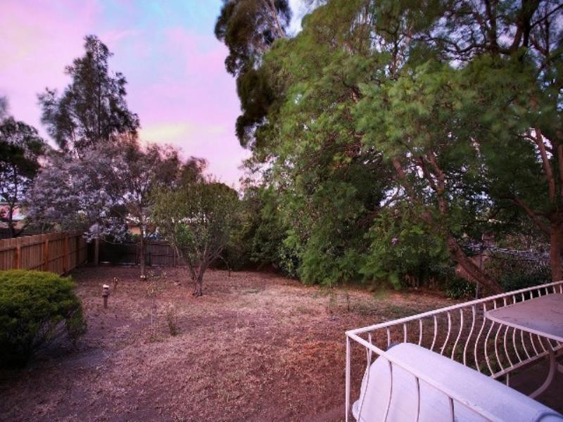 17 Mitchell Street, Belmont VIC 3216