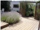 24 Cambridge Street, Belmont VIC 3216