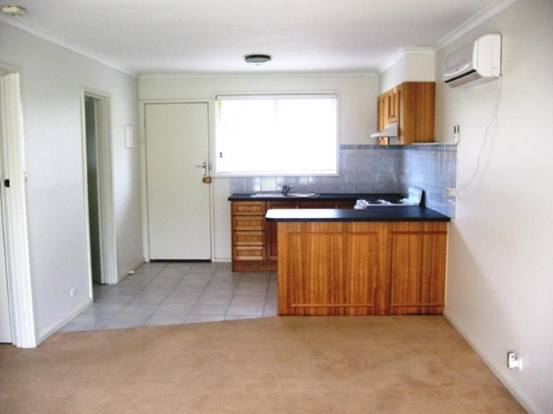 3/41 Buckingham Road, Newtown VIC 3220