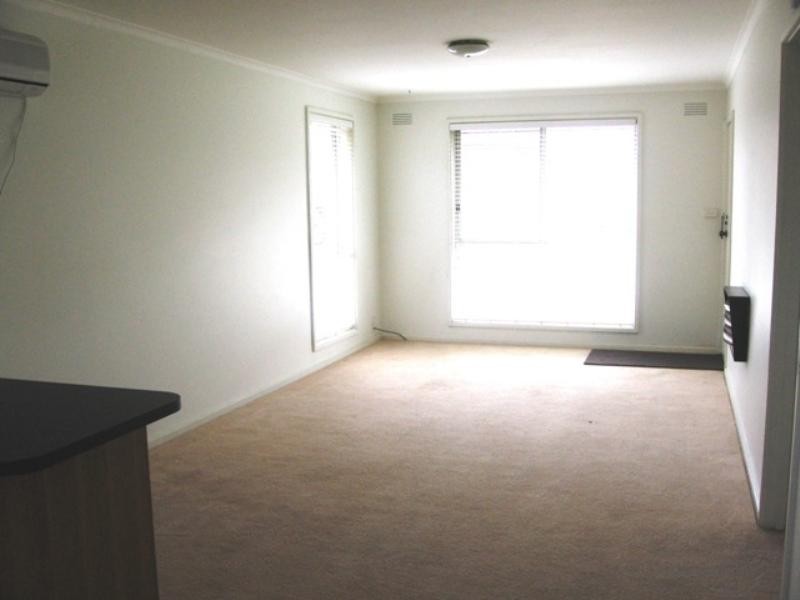 3/41 Buckingham Road, Newtown VIC 3220