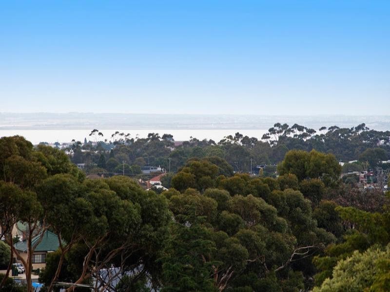 21 Edgecomb Street, Hamlyn Heights VIC 3215