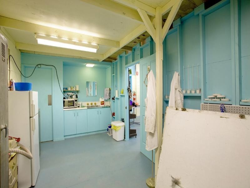 1 Edols Place, North Geelong VIC 3215