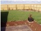 99 Bickford Road, Grovedale VIC 3216