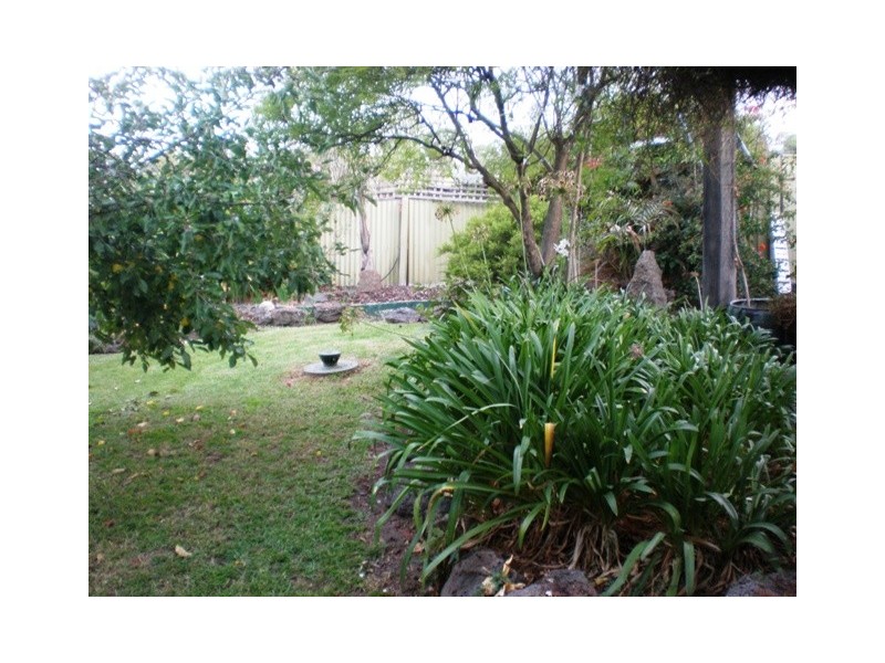 43 James Street, Belmont VIC 3216