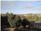 61 Wandana Drive, Wandana Heights VIC 3216