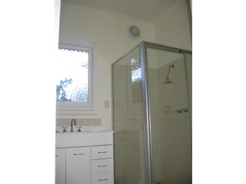 31 Morris Street, Belmont VIC 3216