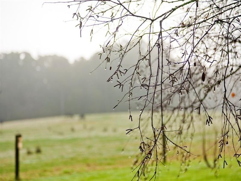 1545 Gellibrand River Road, Chapple Vale VIC 3239