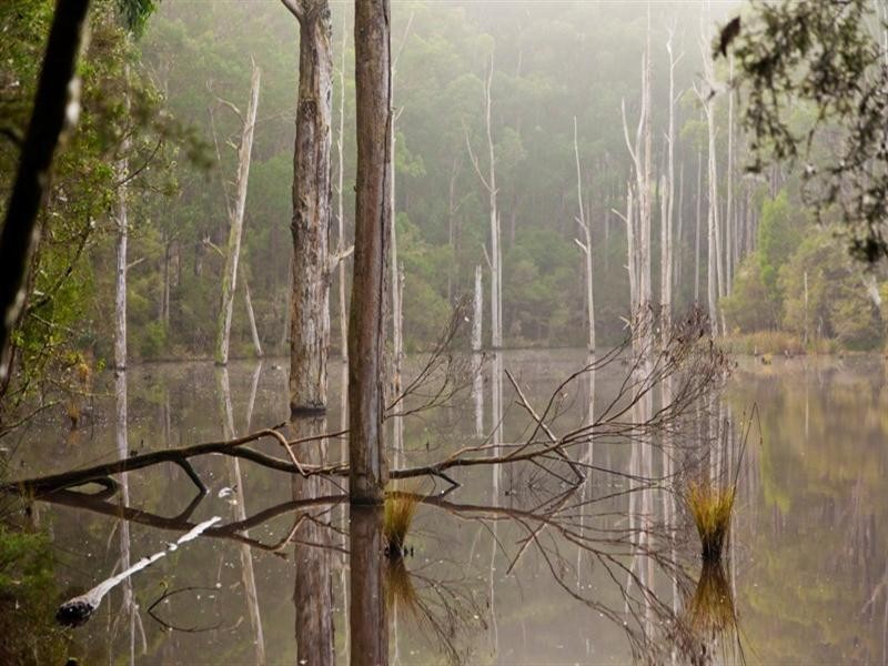 1545 Gellibrand River Road, Chapple Vale VIC 3239