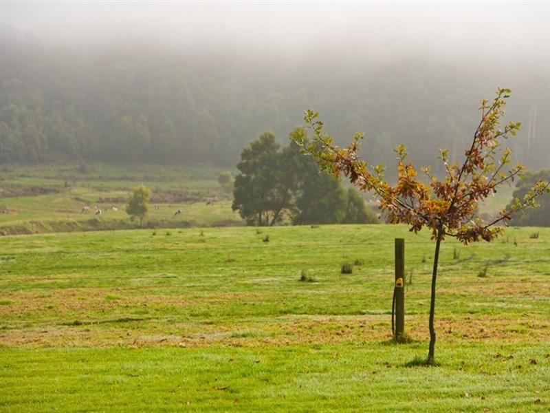 1545 Gellibrand River Road, Chapple Vale VIC 3239