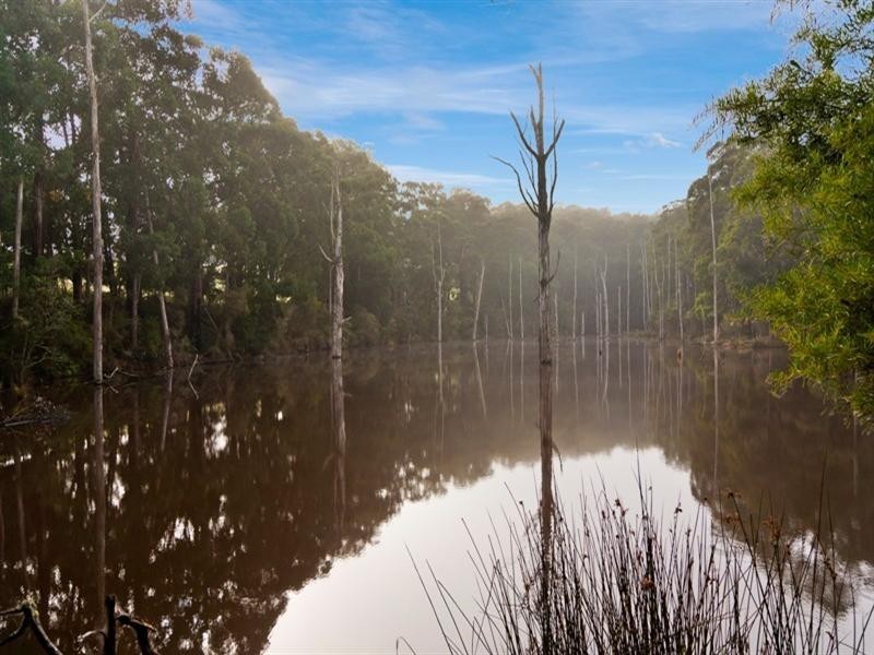 1545 Gellibrand River Road, Chapple Vale VIC 3239