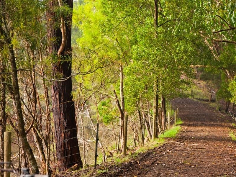 1545 Gellibrand River Road, Chapple Vale VIC 3239