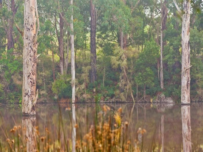 1545 Gellibrand River Road, Chapple Vale VIC 3239