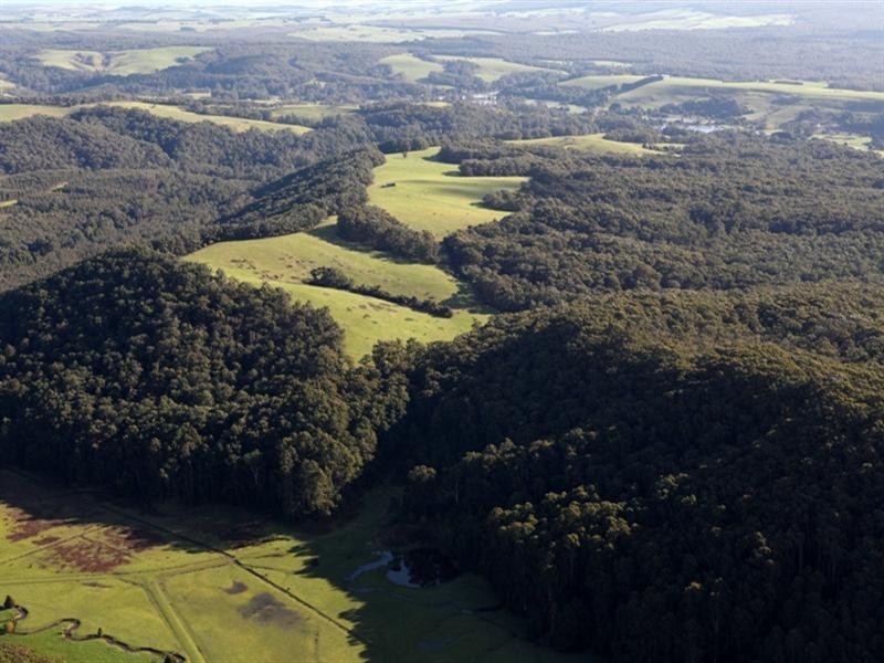 1545 Gellibrand River Road, Chapple Vale VIC 3239