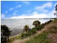 49 The Esplanade, Geelong VIC 3220