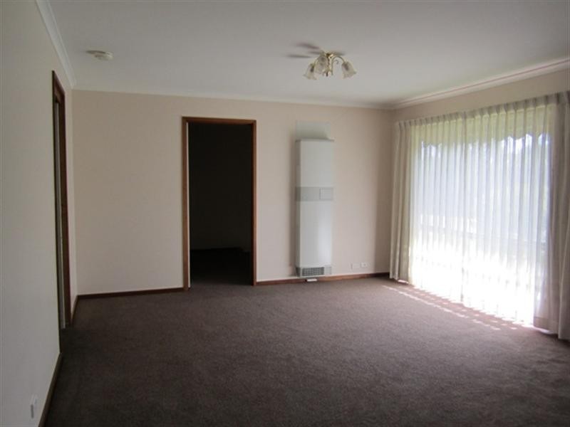 8/24 Percy Street, Newtown VIC 3220