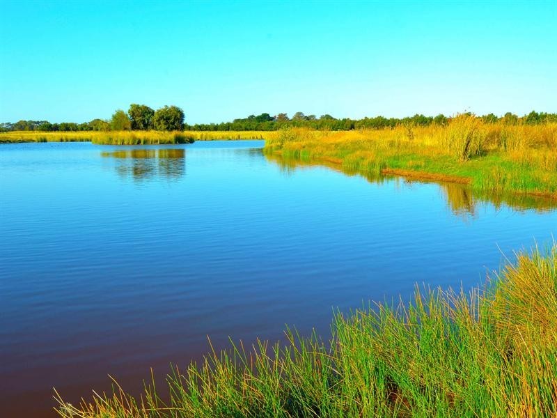 45 Sproules Road, Wallington VIC 3221