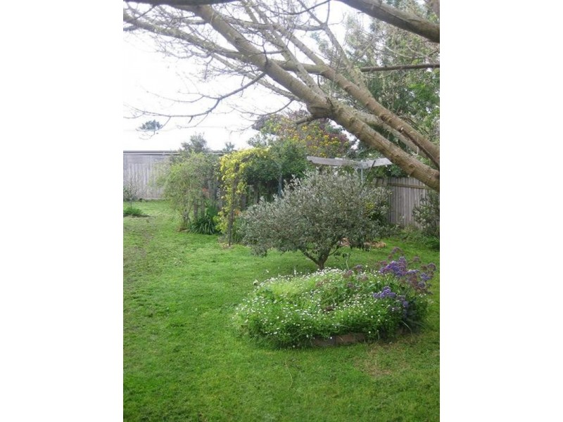 3 Carr Street, Belmont VIC 3216