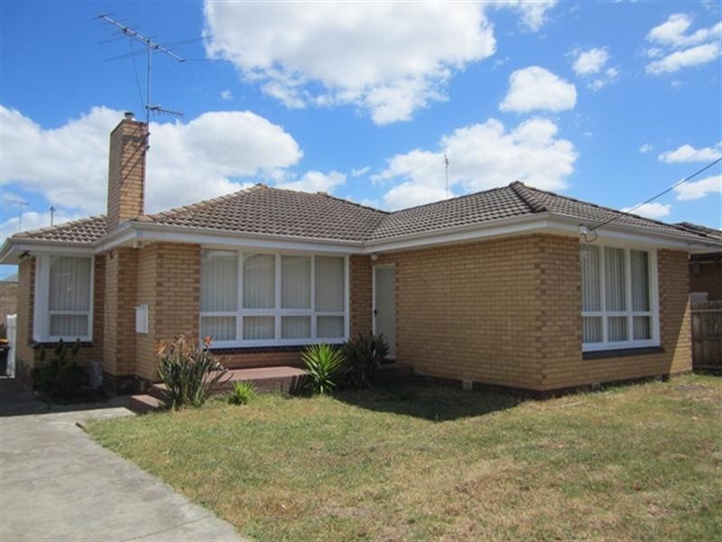 53 Buckingham Road, Newtown VIC 3220