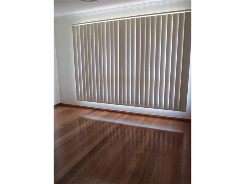 53 Buckingham Road, Newtown VIC 3220