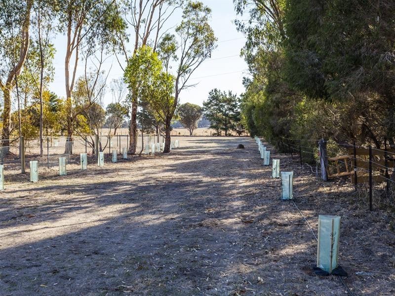 19 Kalkarra Crescent, Mount Duneed VIC 3216