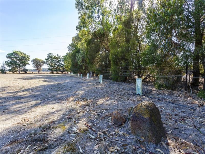 19 Kalkarra Crescent, Mount Duneed VIC 3216