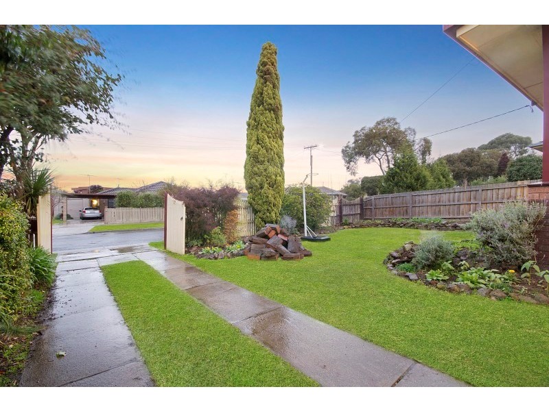 19 Cheryl Crescent, Belmont VIC 3216
