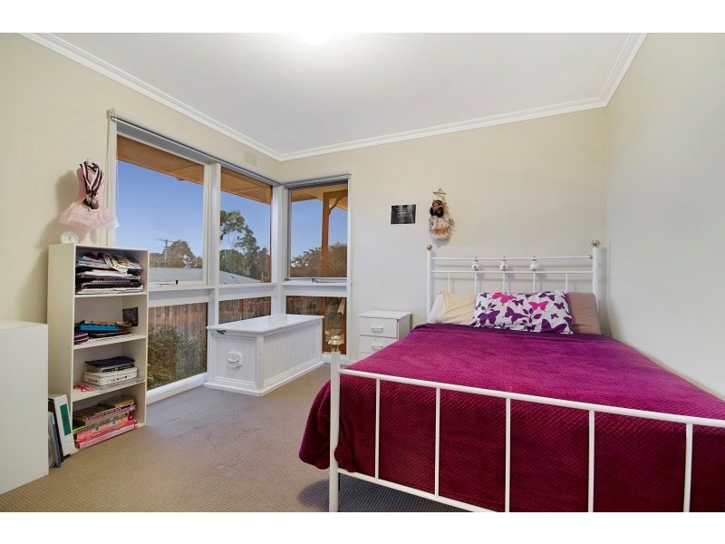 19 Cheryl Crescent, Belmont VIC 3216