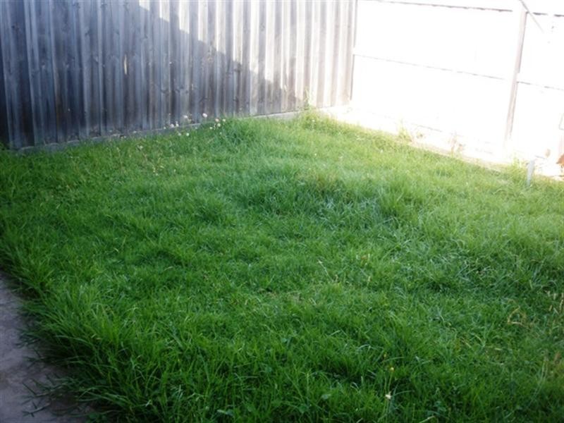 5/22 Lindsay Street, Newcomb VIC 3219