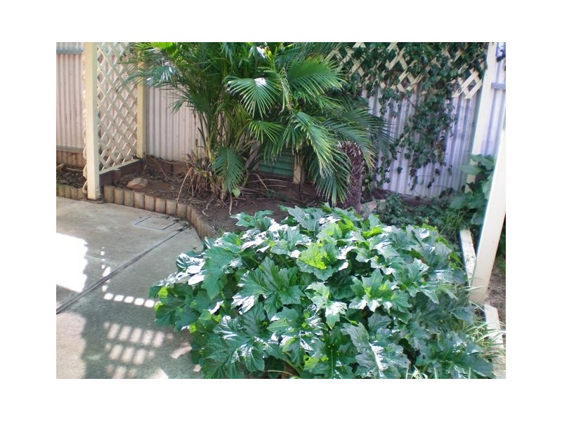 20 Nicholls Crescent, Burton SA 5110