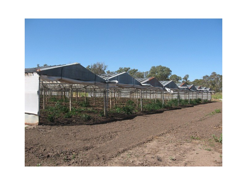 Lot 1 Stanton Road, Virginia SA 5120