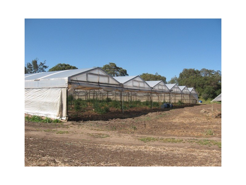 Lot 1 Stanton Road, Virginia SA 5120