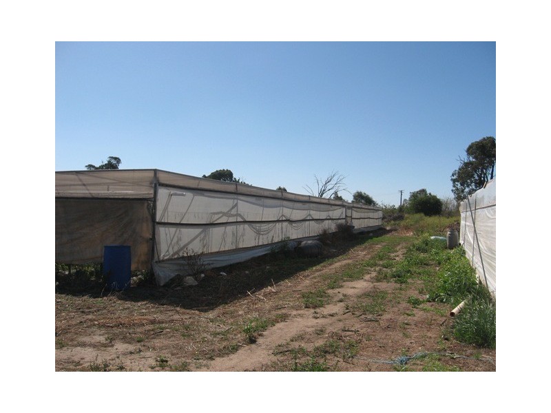 Lot 1 Stanton Road, Virginia SA 5120