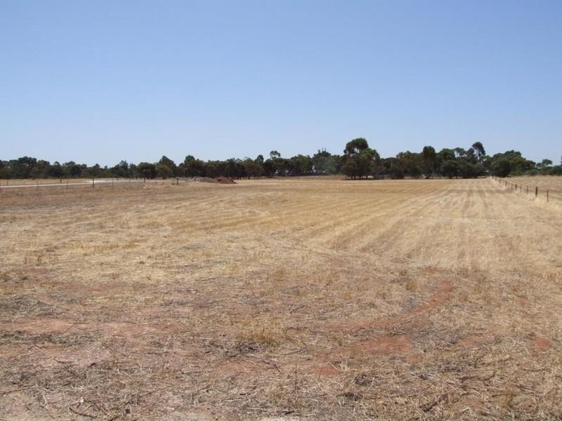 2 Elouise Court, Lewiston SA 5501