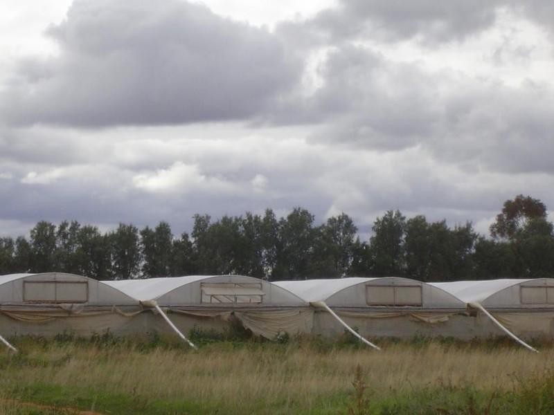 Lot 3 Womma Road, Penfield SA 5121