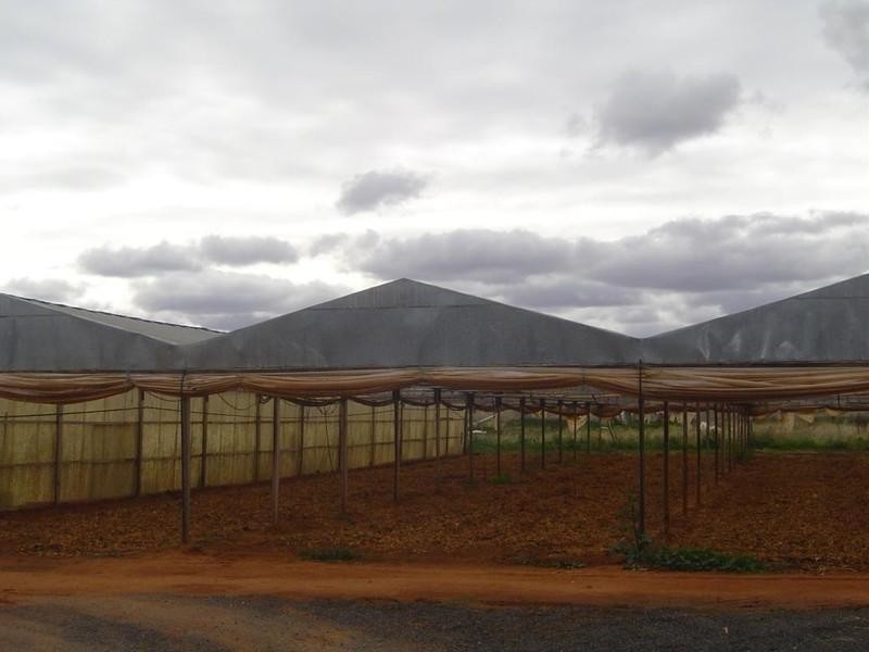 Lot 3 Womma Road, Penfield SA 5121