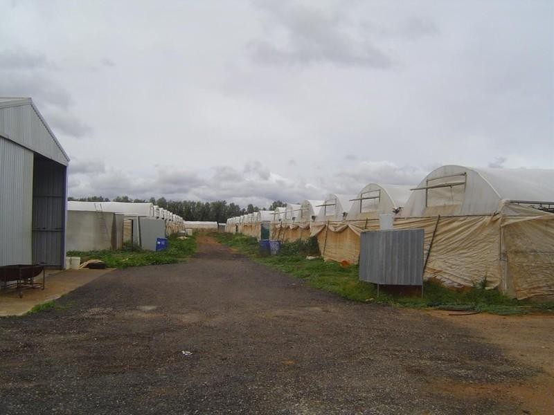 Lot 3 Womma Road, Penfield SA 5121