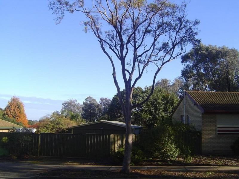 37 Damian Drive, Salisbury Heights SA 5109