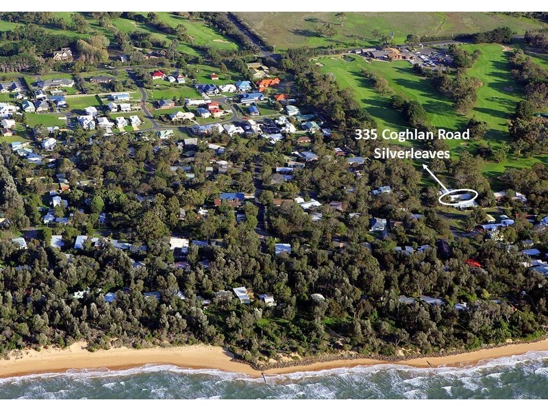 335 Coghlan Road, Silverleaves VIC 3922